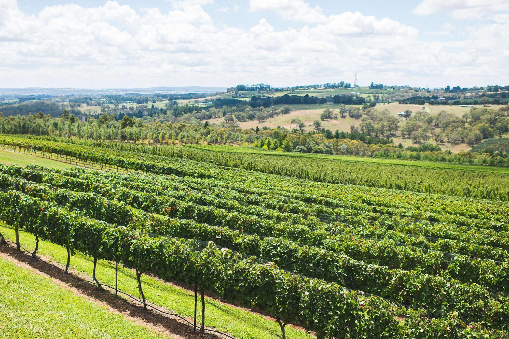 Hotel Borrodell Vineyard Orange Esterno foto